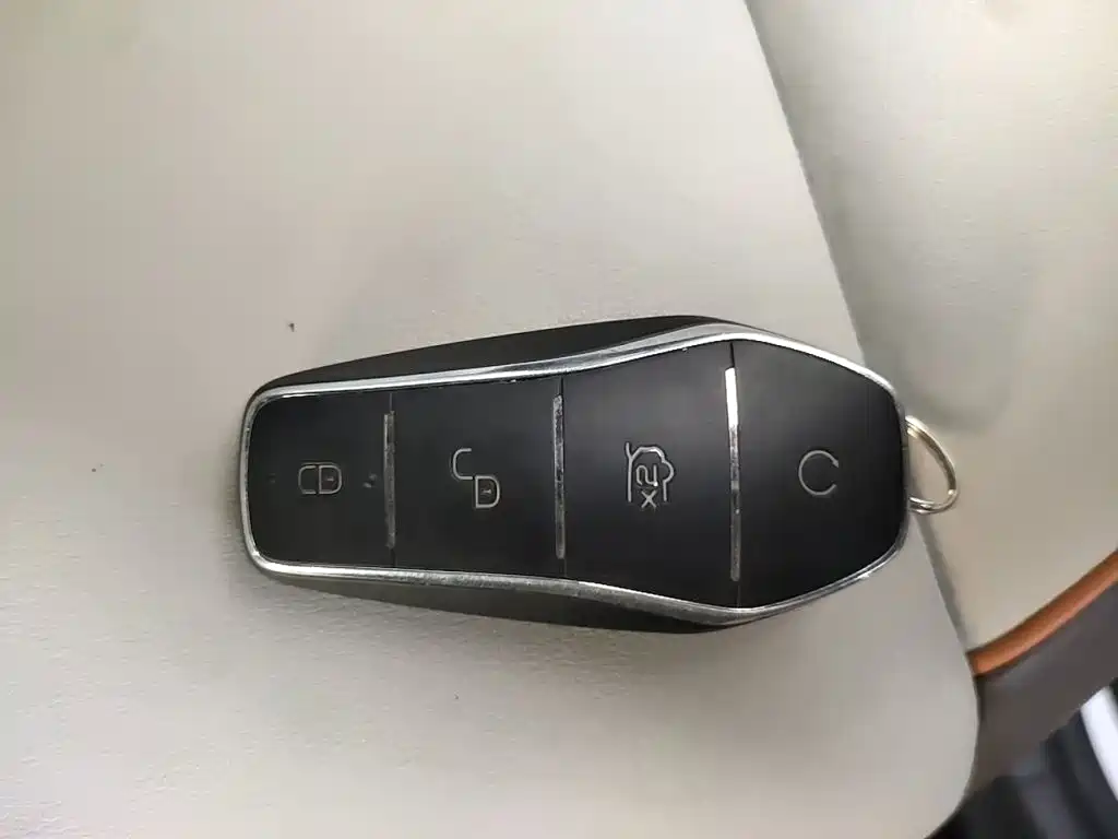 BYD Pro New Energy — миниатюра 12