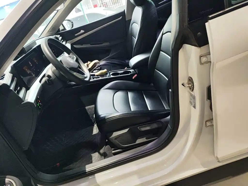 Volkswagen Lamando — миниатюра 15