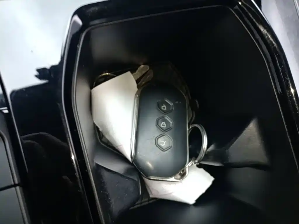 Wuling Victory — миниатюра 9