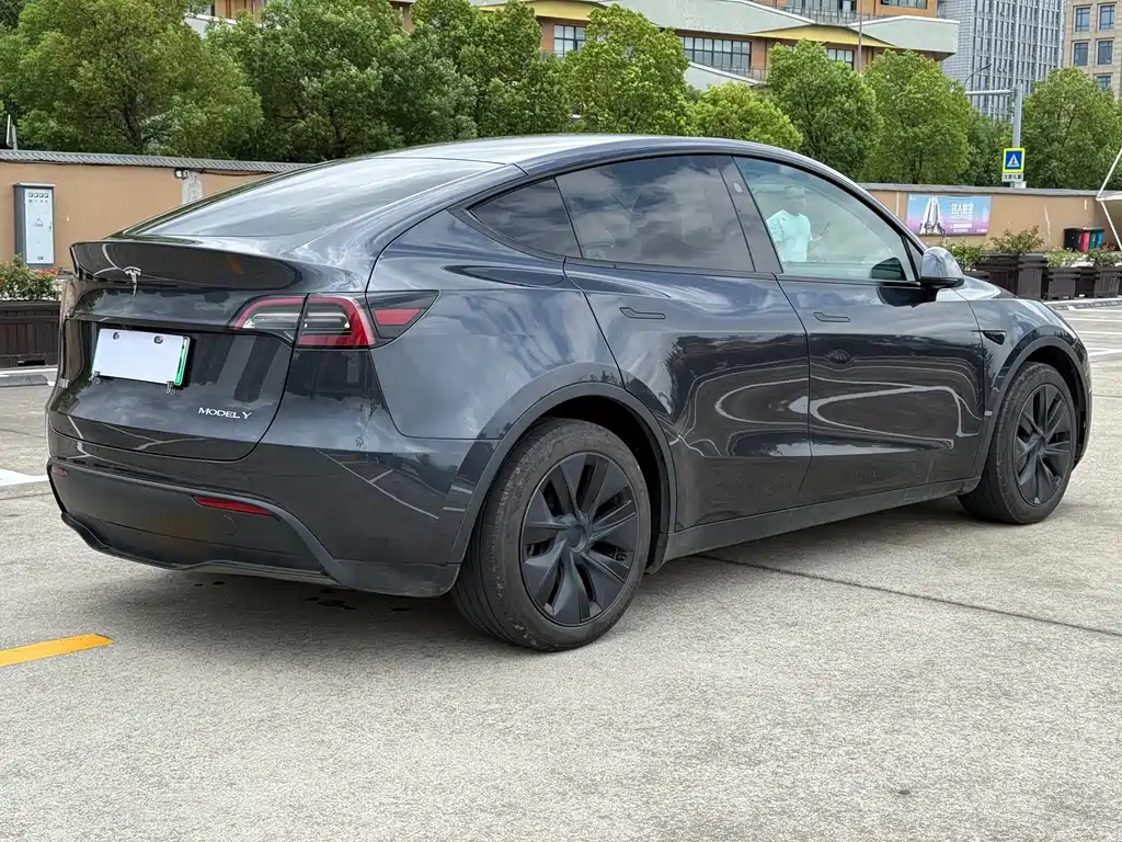 Tesla Model Y — миниатюра 5