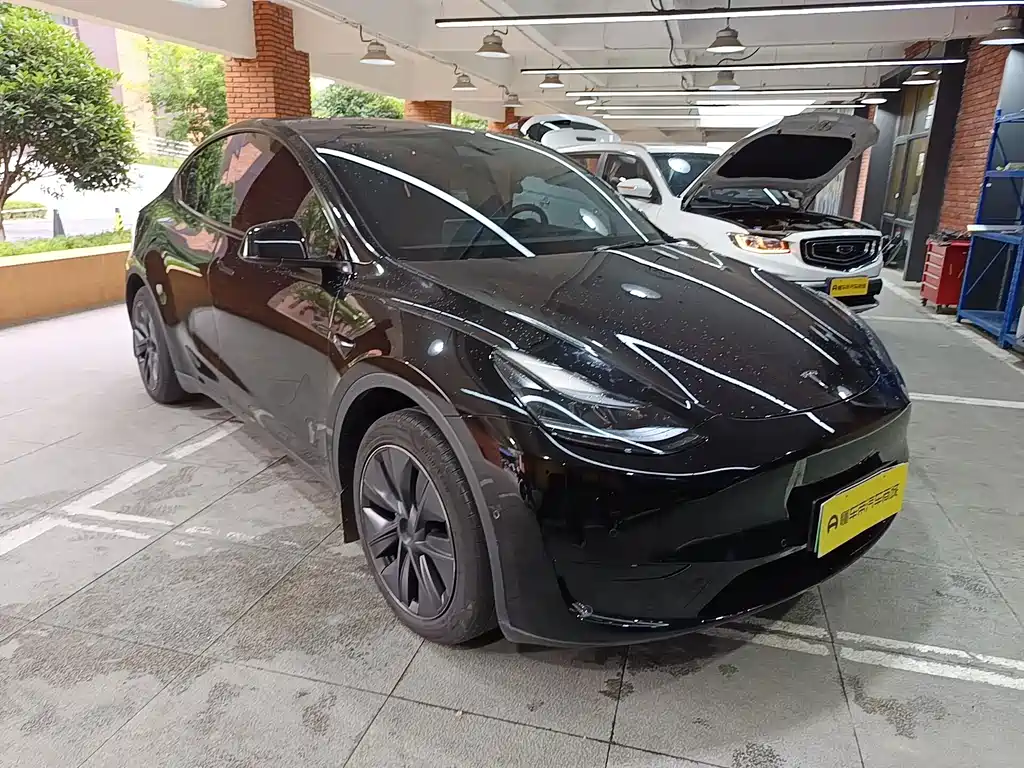 Tesla Model Y — миниатюра 6