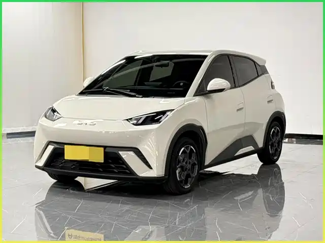 2024 BYD Seagull