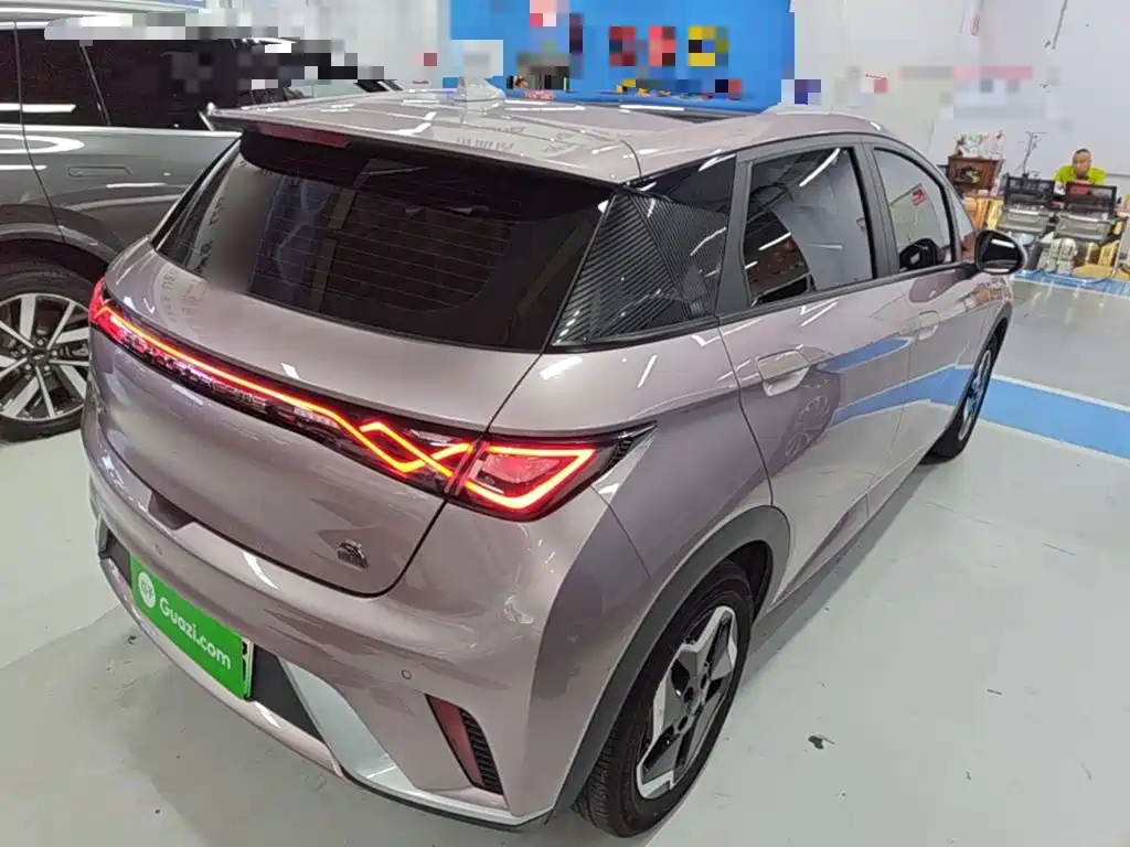 BYD Dolphin 2021 405km Fashion
