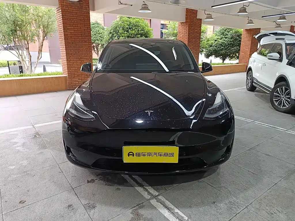 Tesla Model Y — миниатюра 7