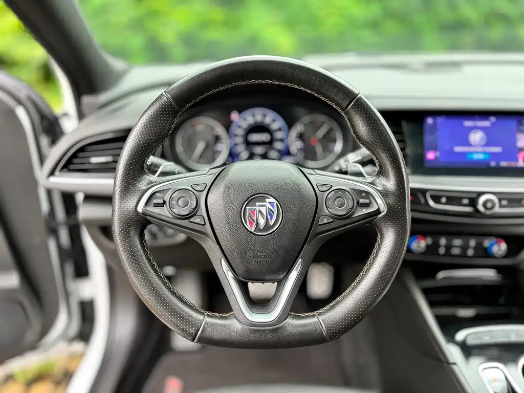Buick Regal — миниатюра 11