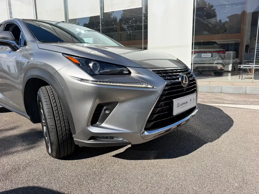 Lexus NX — миниатюра 2