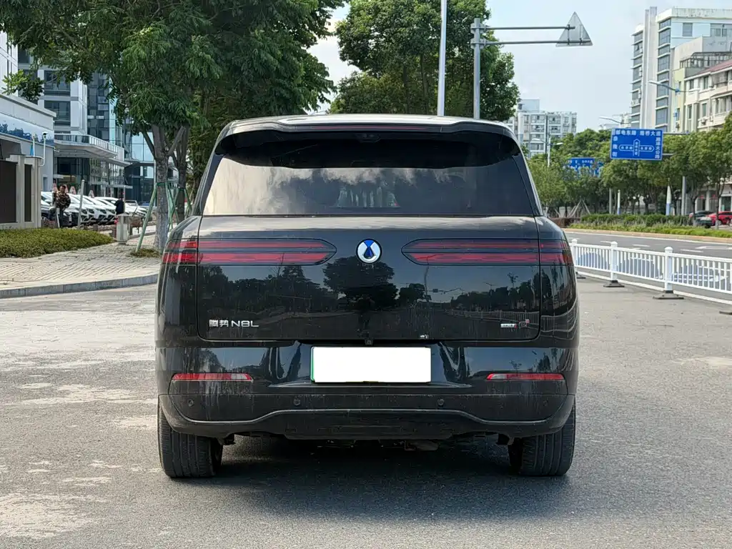 Denza Zoom N8L — миниатюра 5