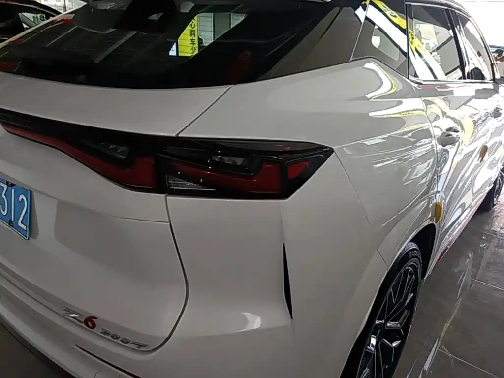 Oshan Oushang Z6 — миниатюра 8