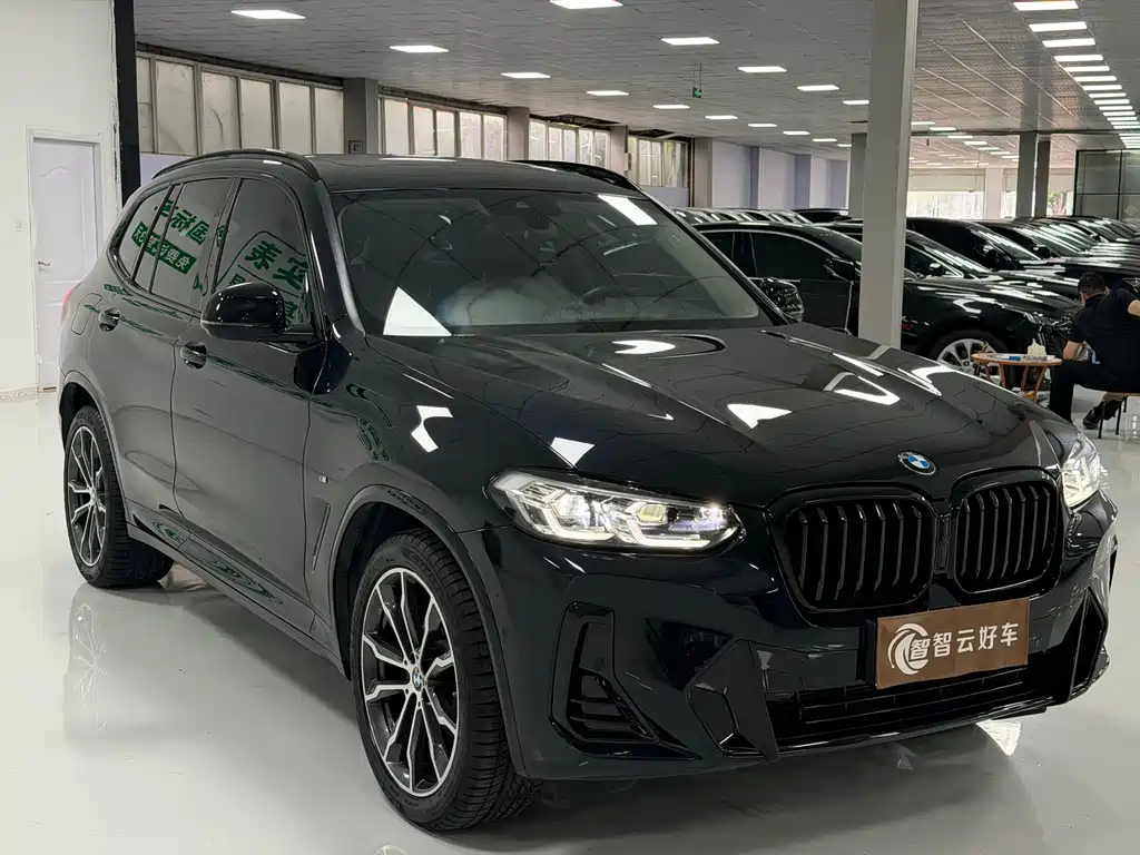BMW X3 — миниатюра 3