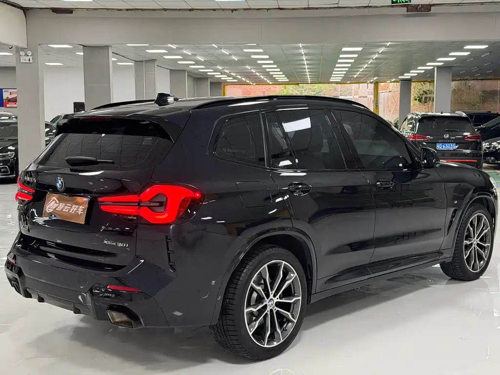 BMW X3 — миниатюра 9