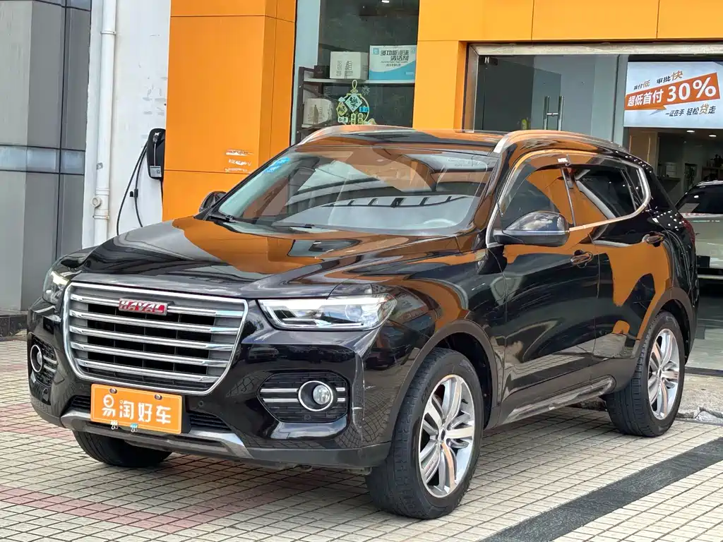 Haval H6 — миниатюра 3