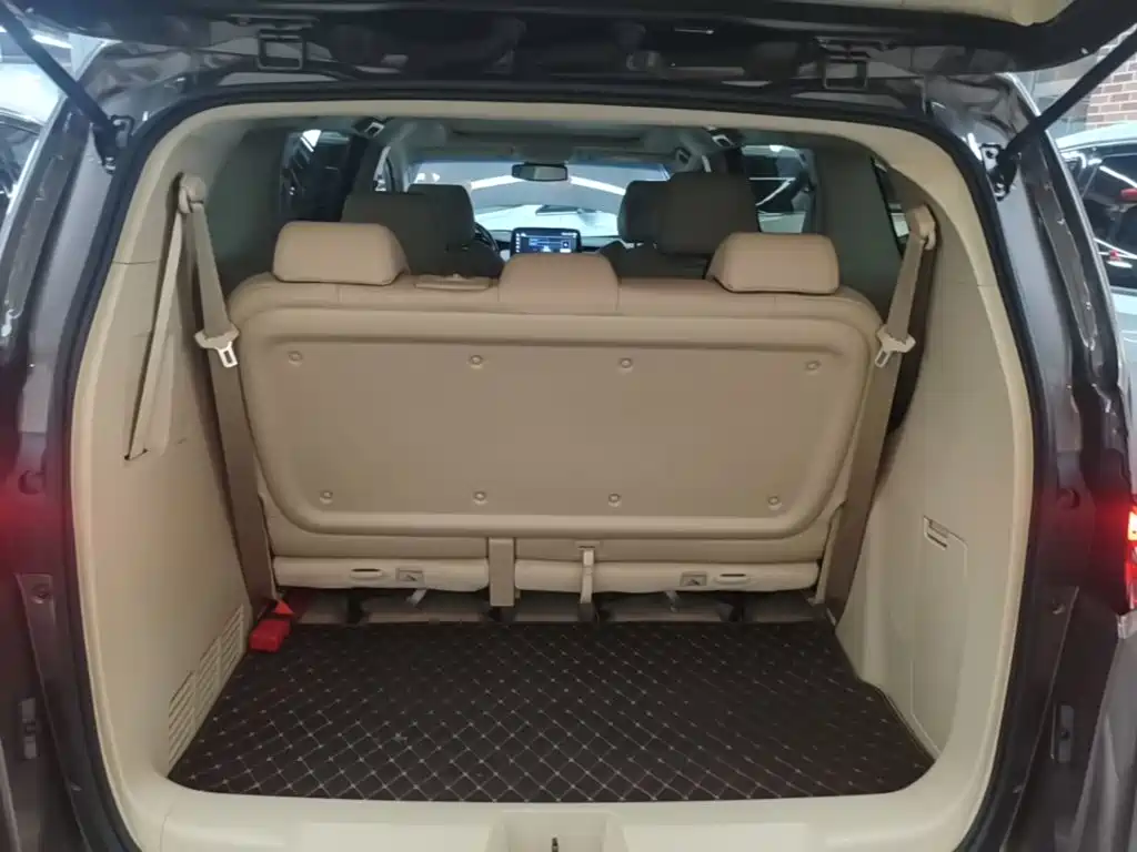 Buick GL8 — миниатюра 19