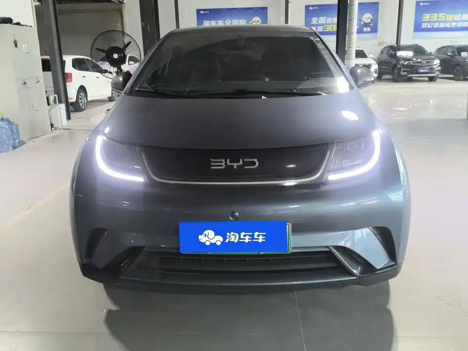 BYD Dolphin — миниатюра 2