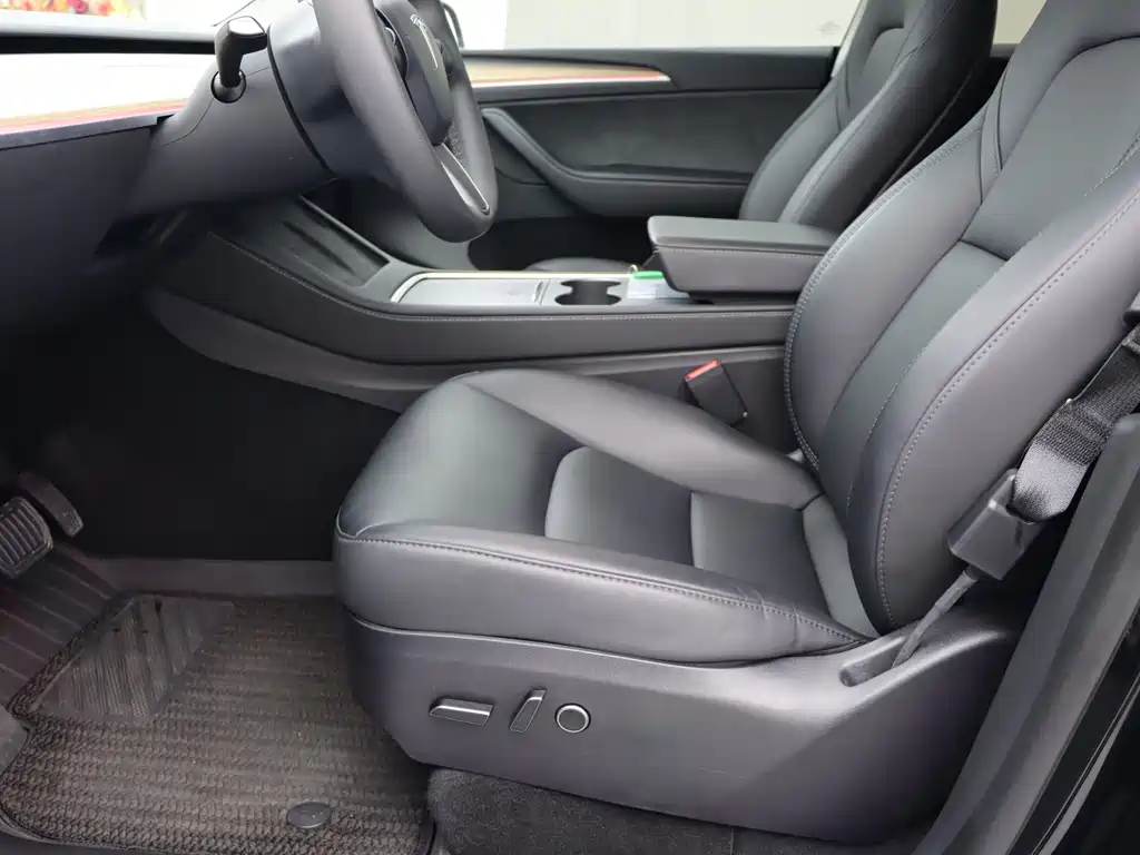 Tesla Model Y — миниатюра 4