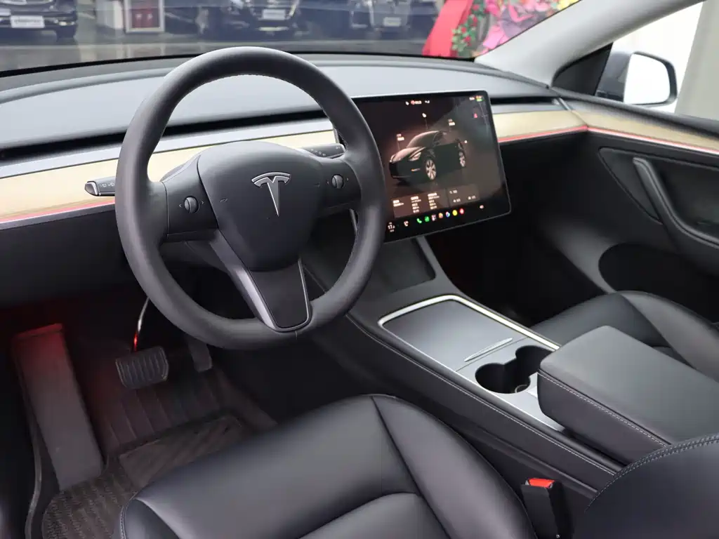 Tesla Model Y — миниатюра 5