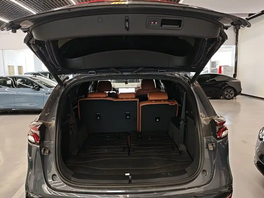 BYD Tang New Energy — миниатюра 19