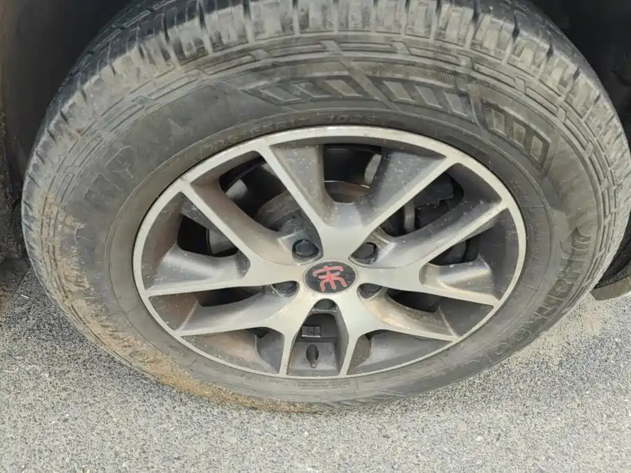 BYD Song — миниатюра 6