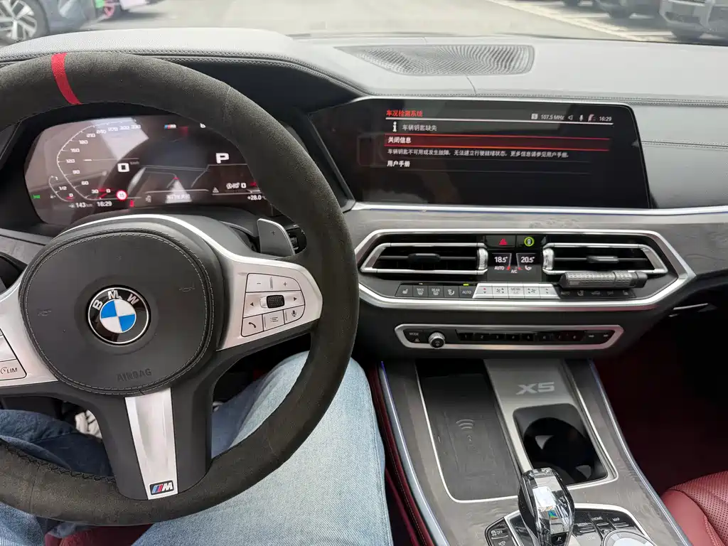 BMW X5 — миниатюра 15