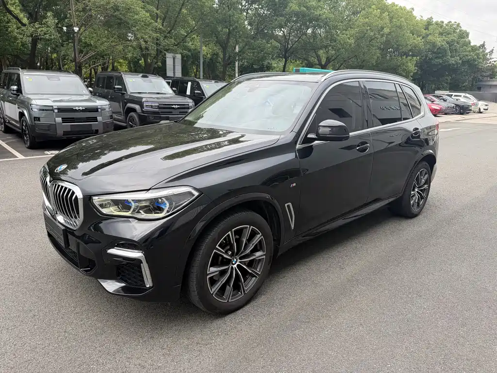 BMW X5 — миниатюра 3