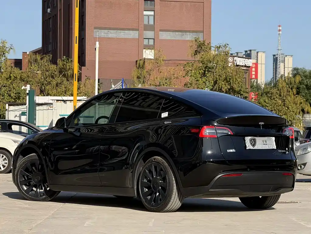 Tesla Model Y — миниатюра 4