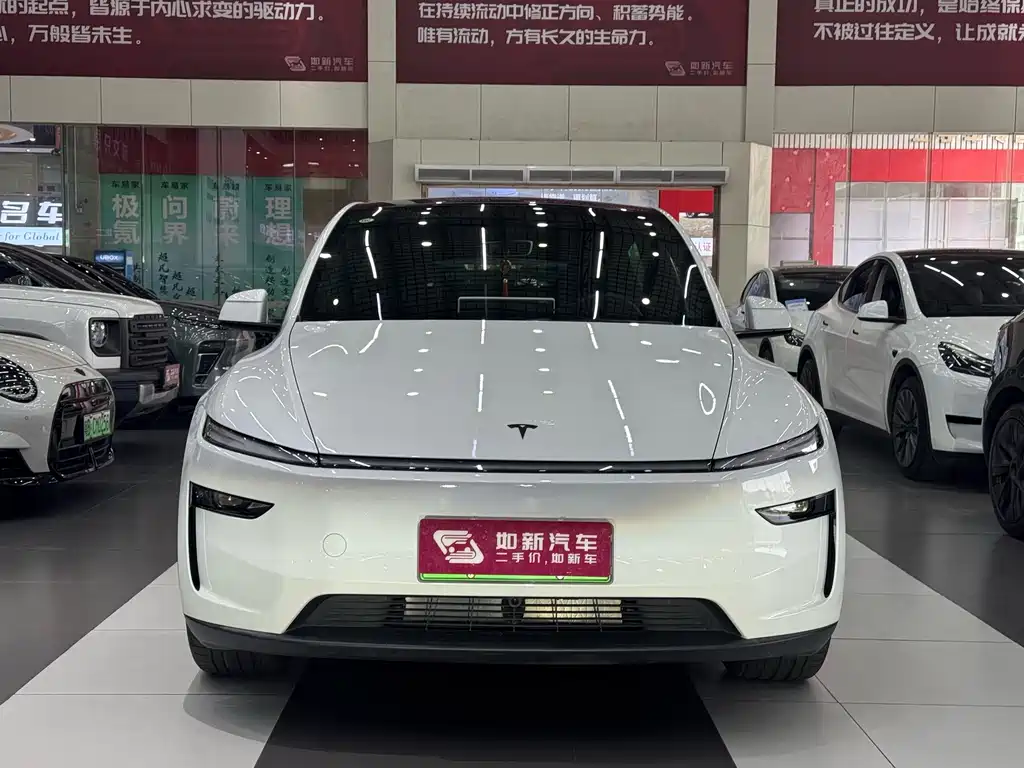Tesla Model Y — миниатюра 2