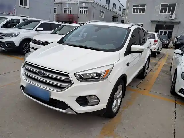 FORD WINGED TIGER 2017