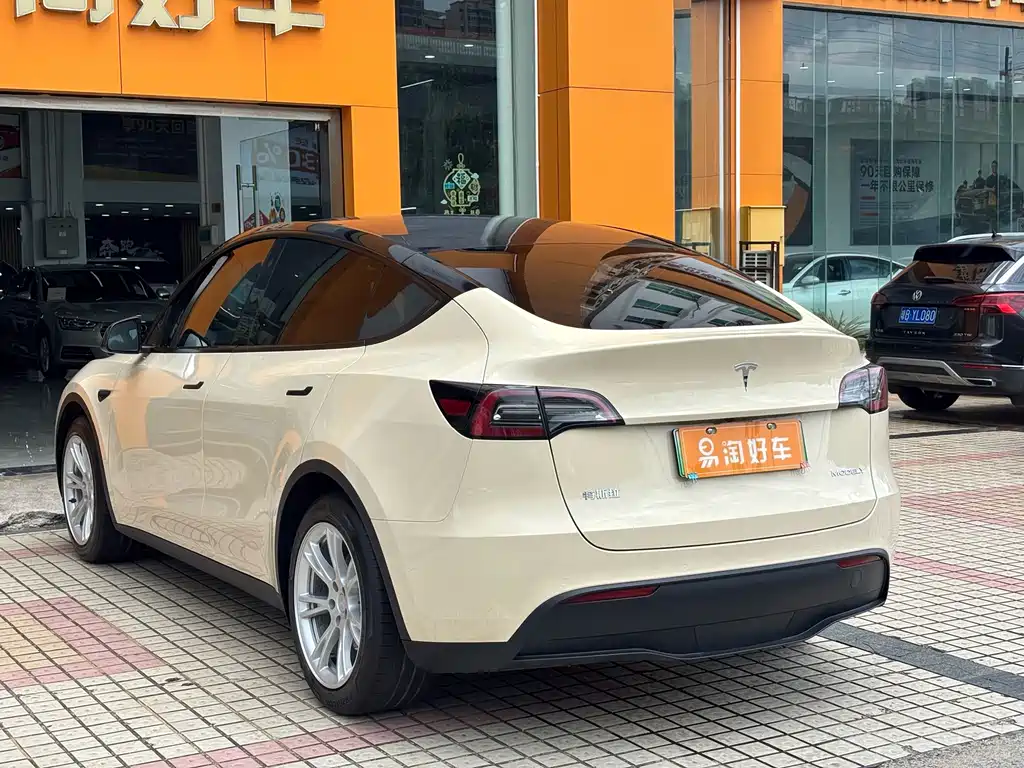 Tesla Model Y — миниатюра 6
