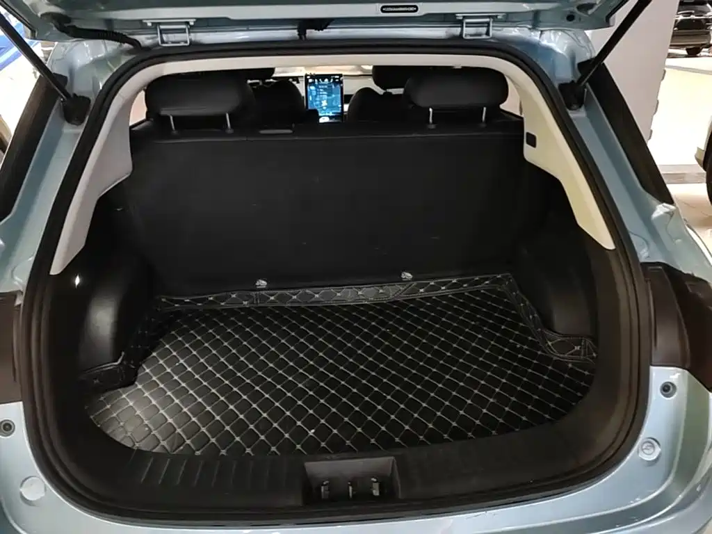 Neta Neta V — миниатюра 19