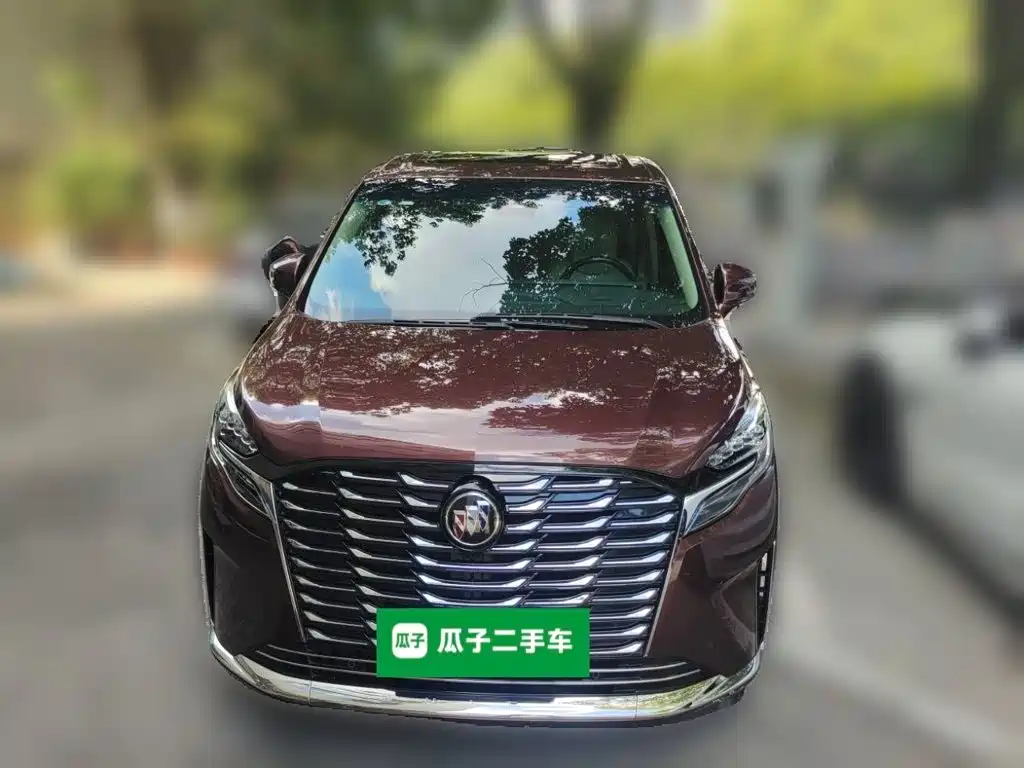 Buick GL8 — миниатюра 24