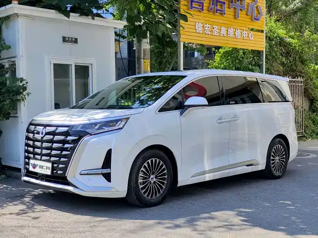 2023 Denza D9