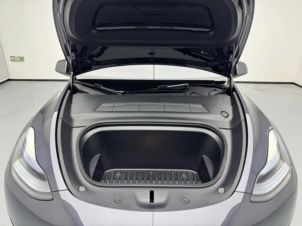 Tesla Model Y — миниатюра 18