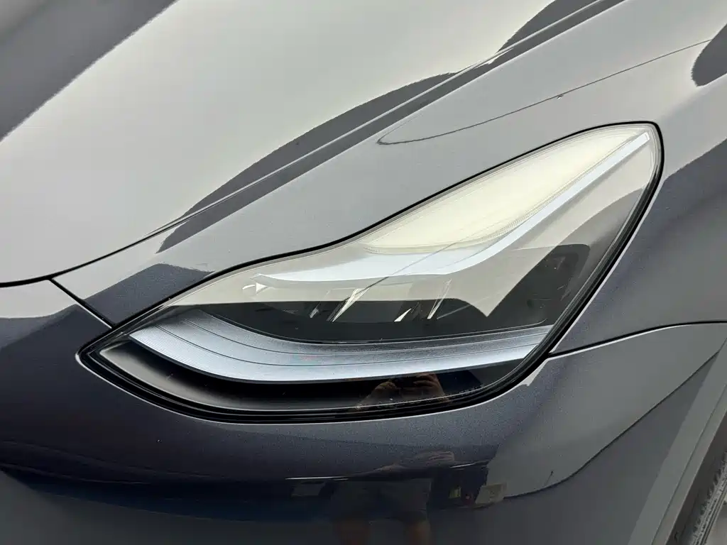 Tesla Model Y — миниатюра 6