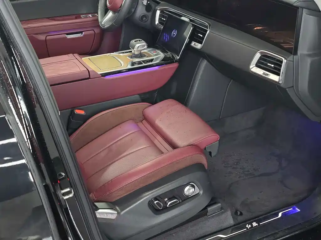 Hongqi Hongqi E-HS9 — миниатюра 9