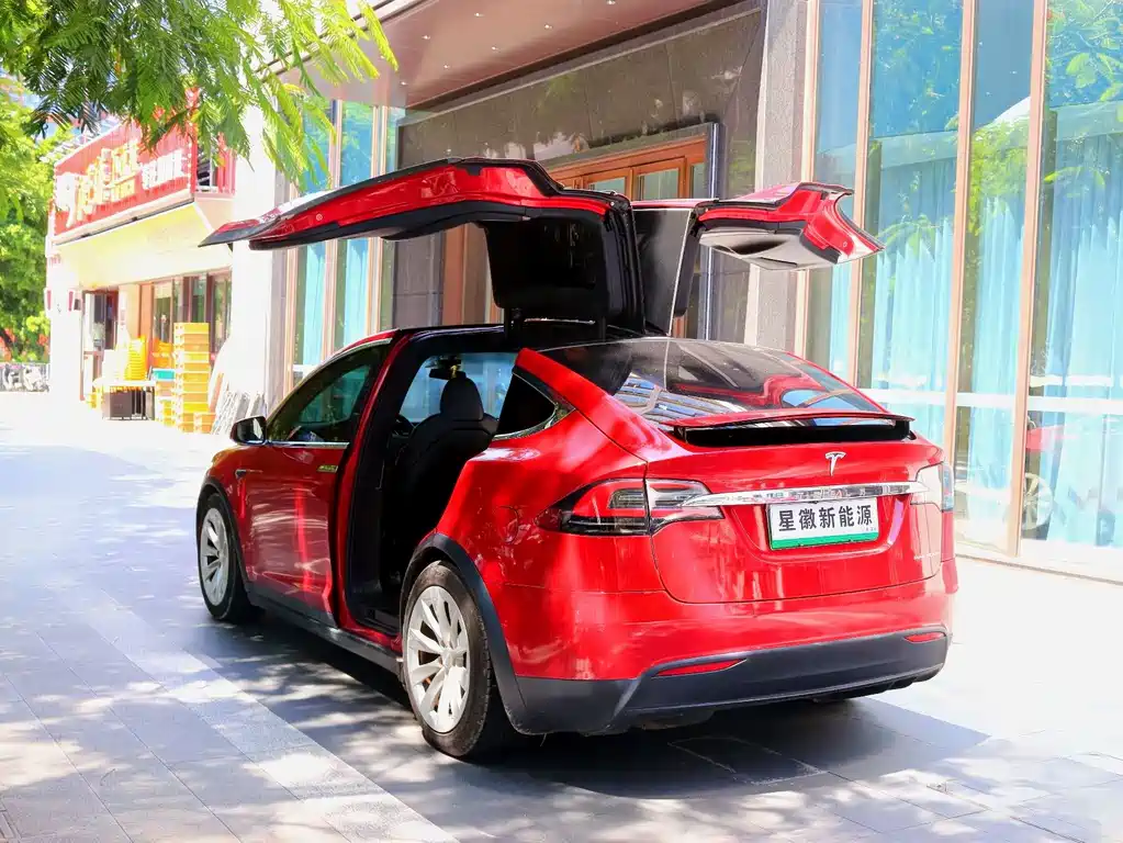 Tesla Model X — миниатюра 20