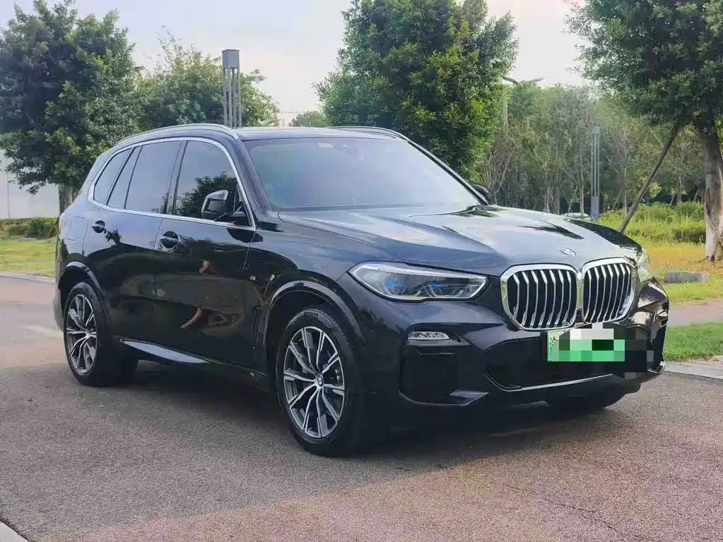BMW X5 New Energy (Import) — миниатюра 3