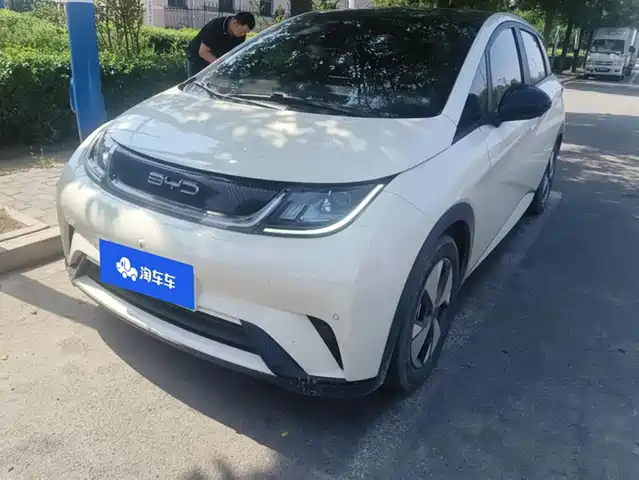 BYD DOLPHIN 2024