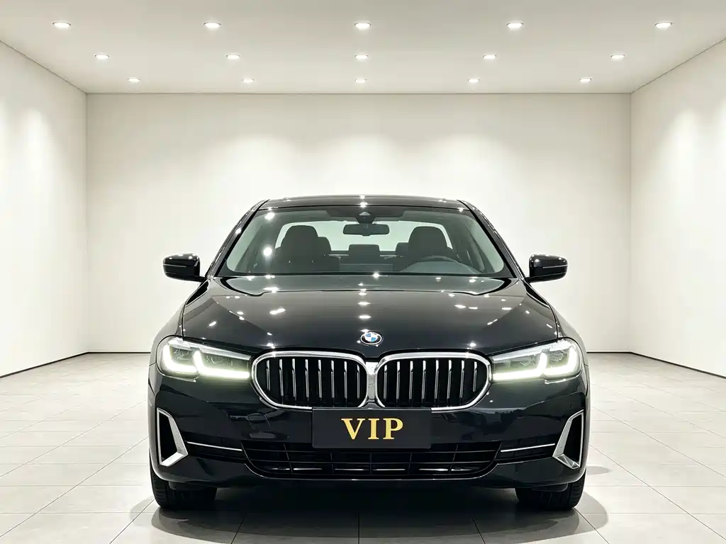 BMW 5 Series — миниатюра 2