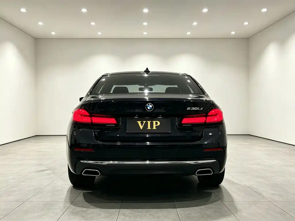 BMW 5 Series — миниатюра 11