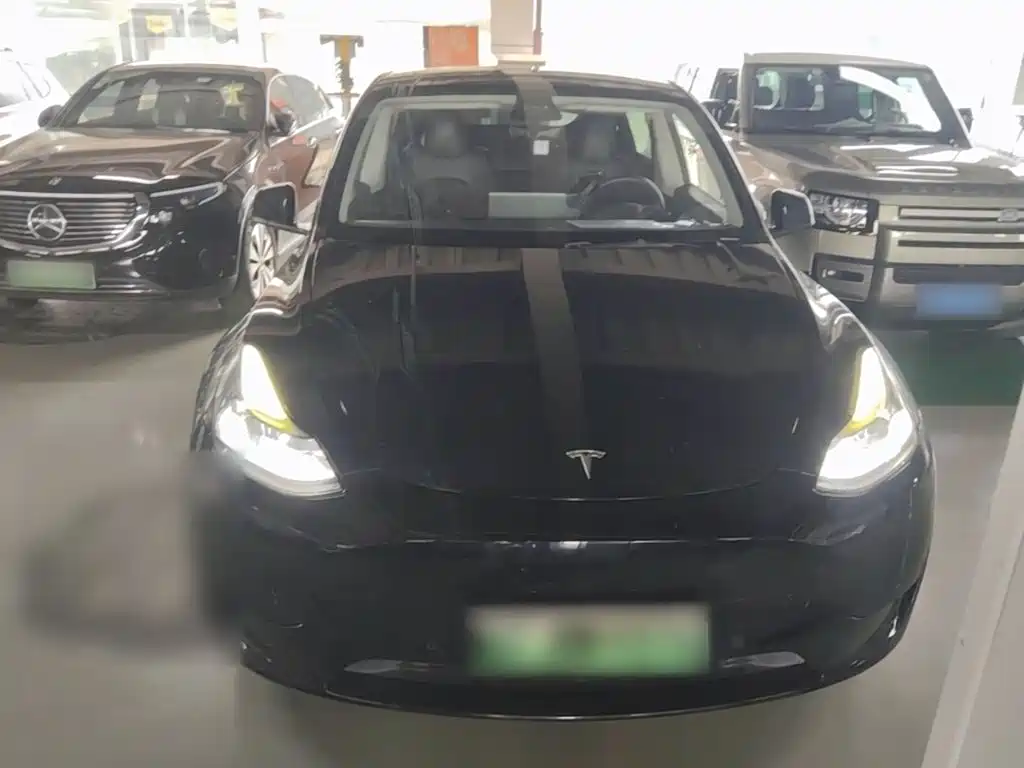 Tesla Model Y — миниатюра 3