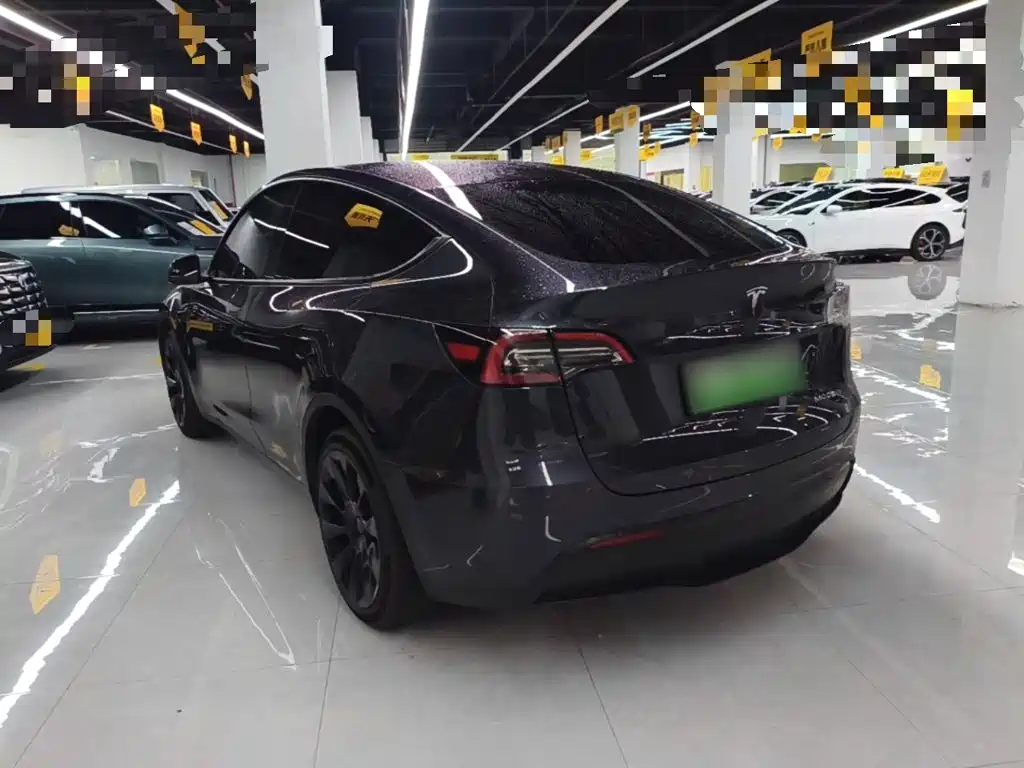 Tesla Model Y — миниатюра 5