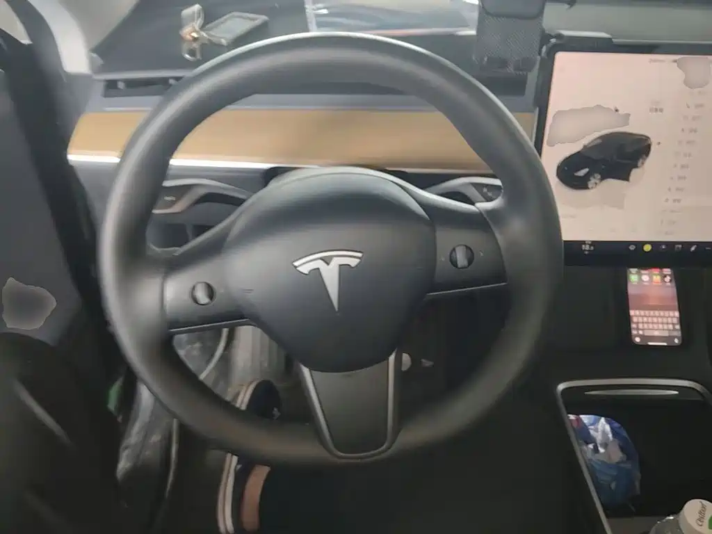 Tesla Model Y — миниатюра 11