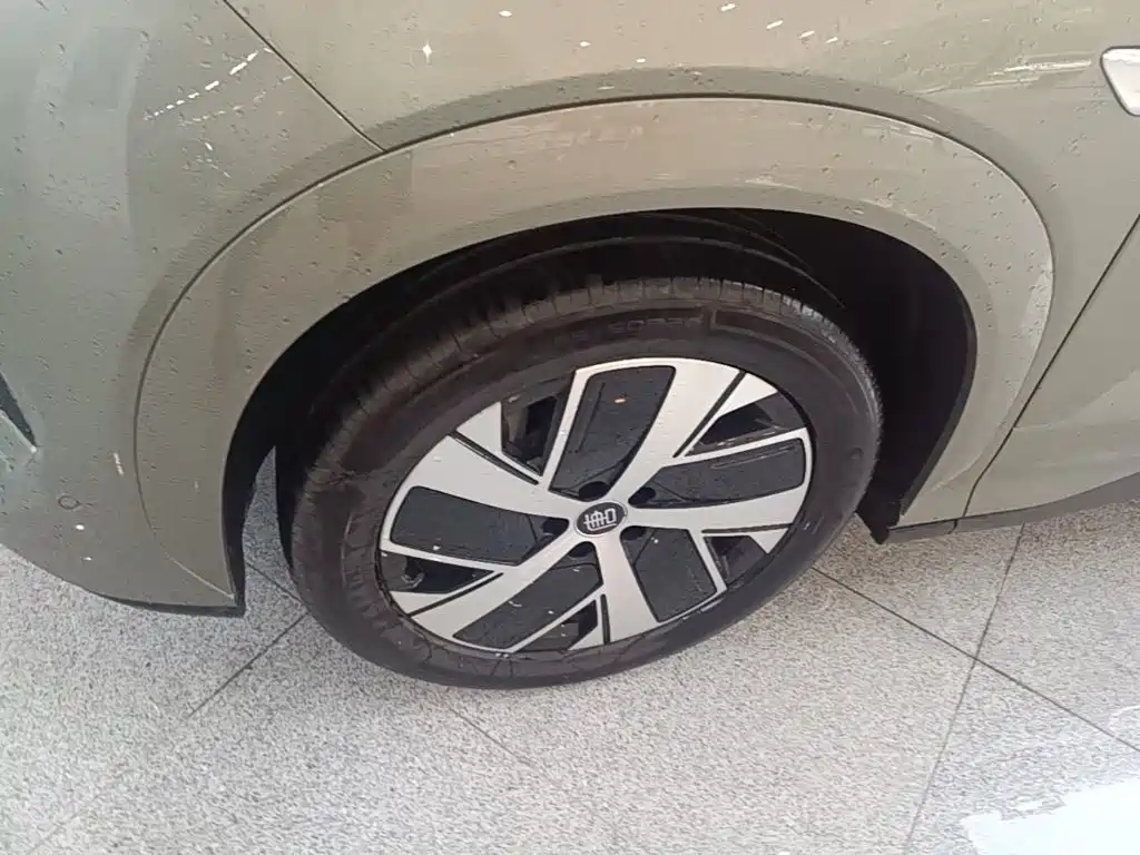 BYD Дон Л. — миниатюра 25