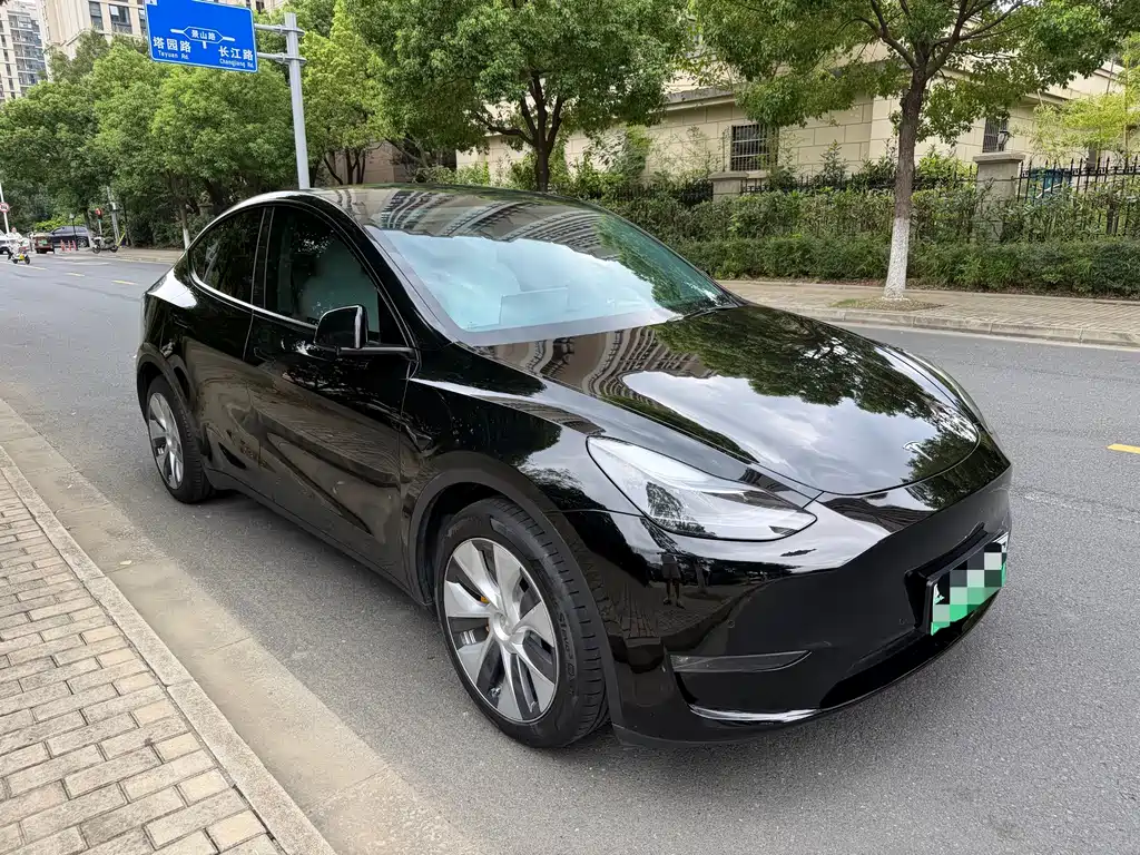 Tesla Model Y — миниатюра 3