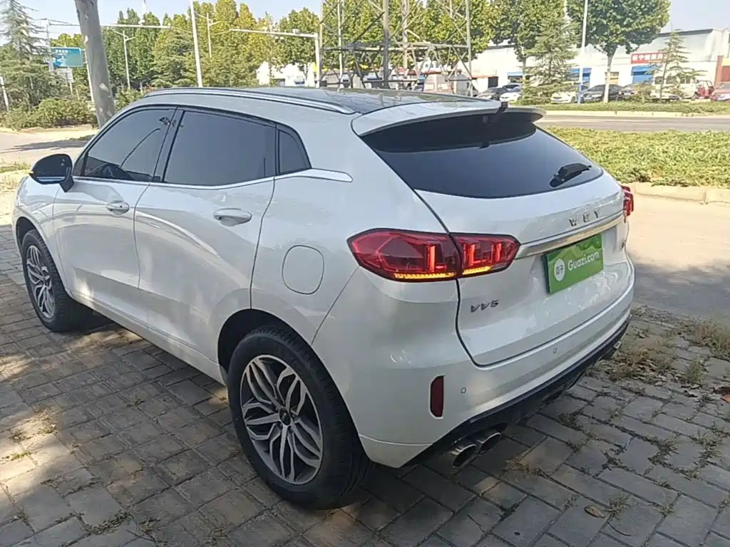 Wey Wey VV5 — миниатюра 5