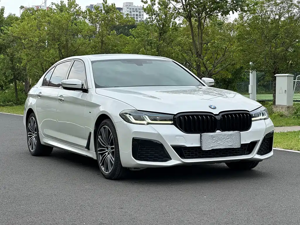 BMW 5 Series — миниатюра 3