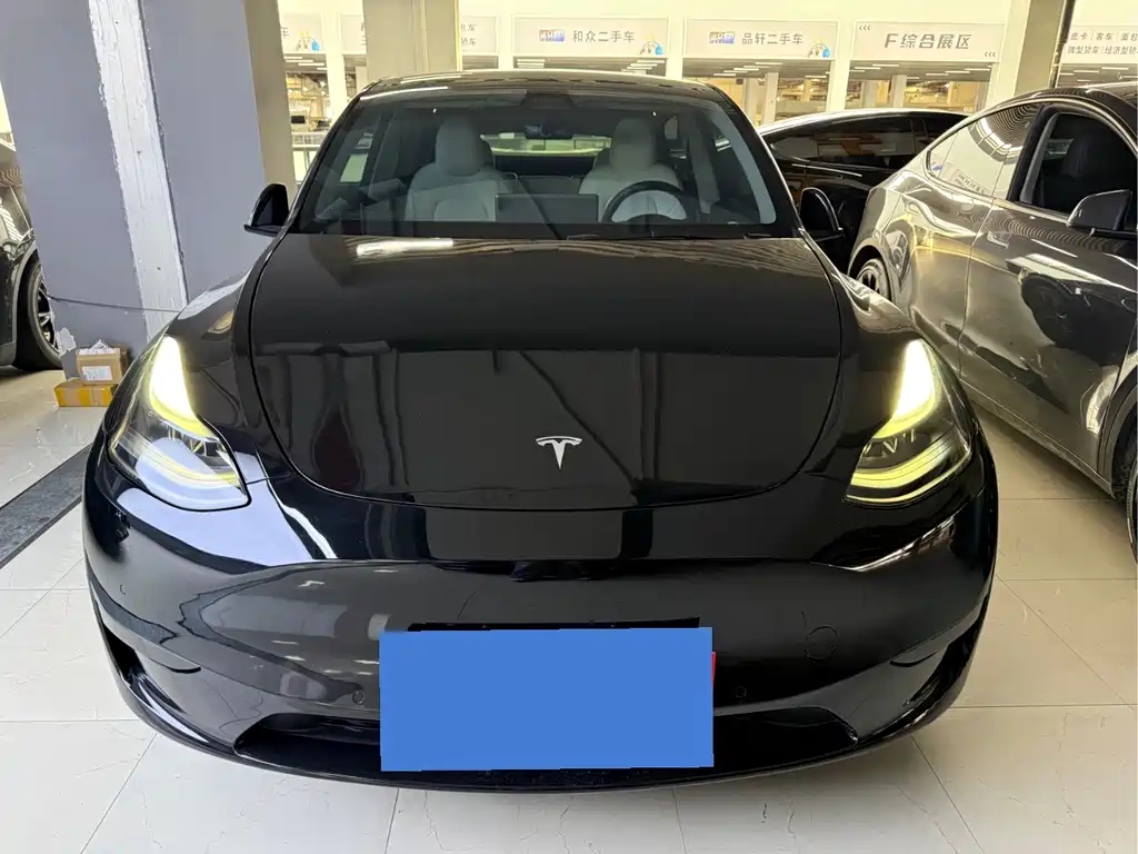 Tesla Model Y — миниатюра 2