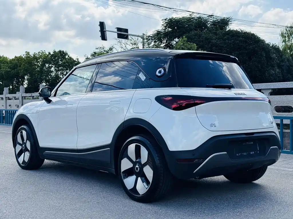 smart Smart #1 — миниатюра 6