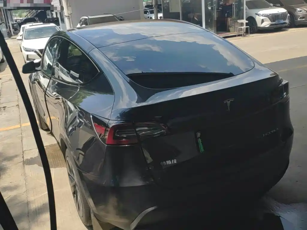 Tesla Model Y — миниатюра 5