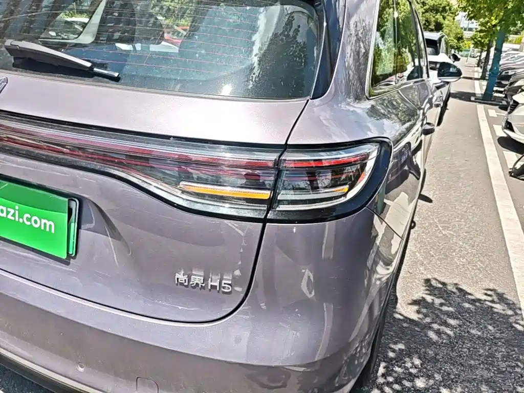 Сангтан Sangtang H5 — миниатюра 8