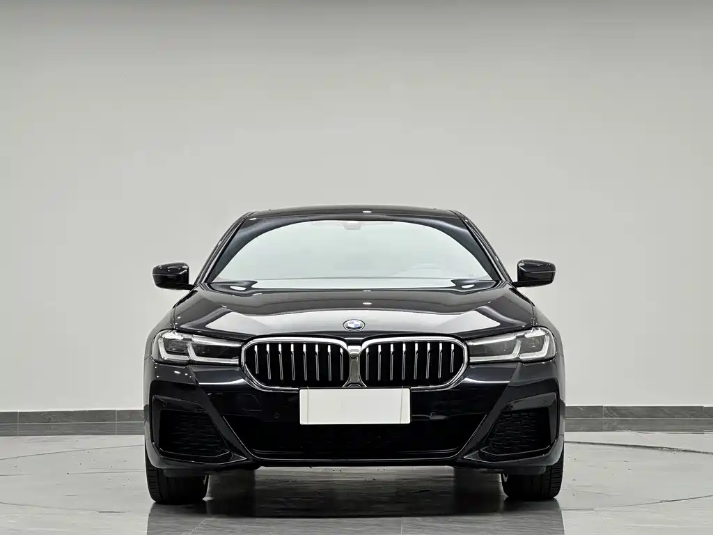 BMW 5 Series — миниатюра 3